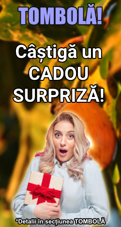 tombola